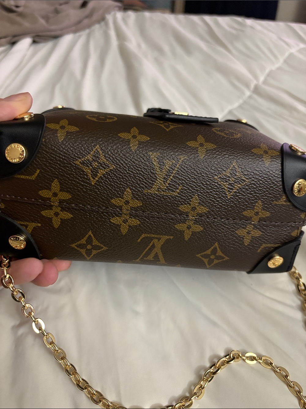 L V inspired soft trunk bag - Picture 3 of 8